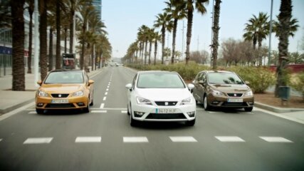 Dieter Primig | MAP Berlin