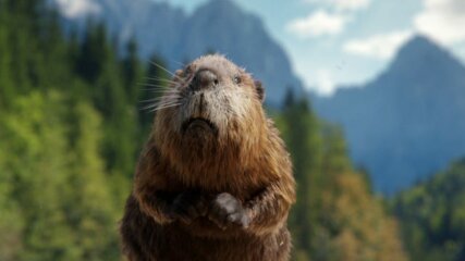 Marc Angele | MAP Berlin