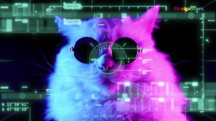 Till Poetzl | MAP Berlin