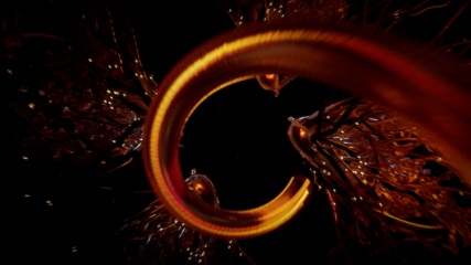 Jonas Rauber | MAP Berlin