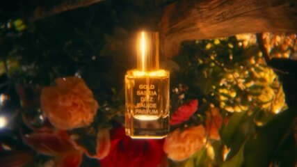 Zé Maria | MAP Berlin