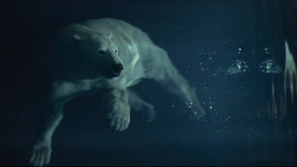 Julia Dobler Pavel Prokopchik | MAP BERLIN