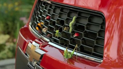 Kim Stevenson | MAP Berlin