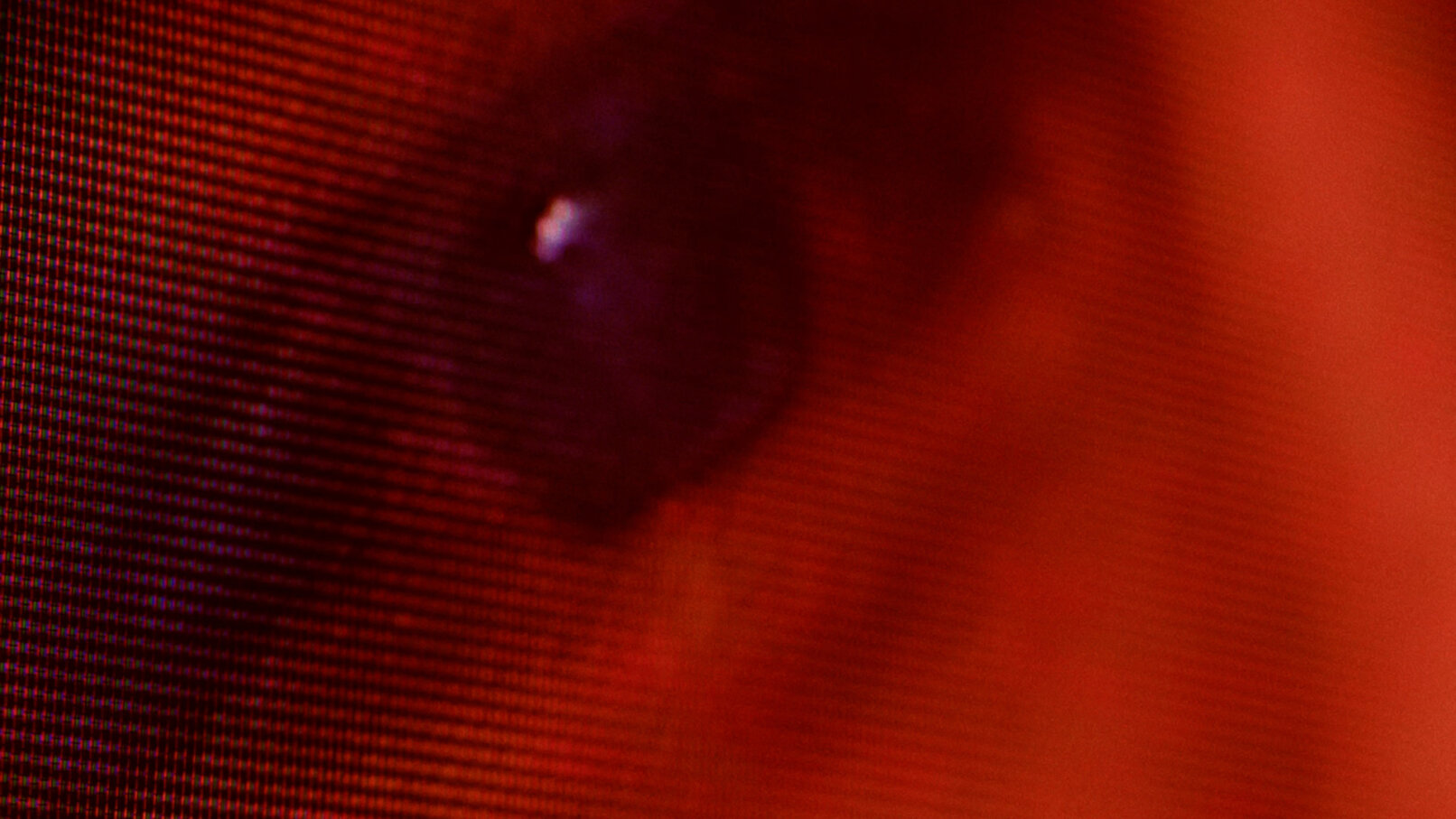 Klara Plainer | MAP Berlin