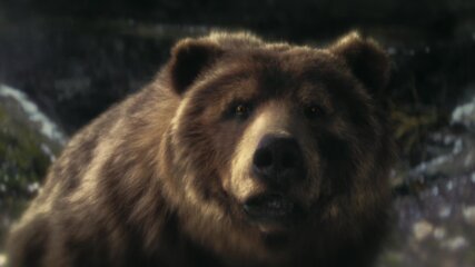 Stathis Nafpliotis | MAP Berlin