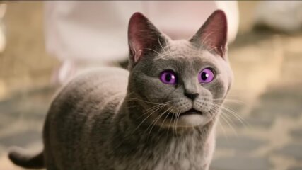 Frederik Grytzmann Julia Kietzmann | MAP Berlin