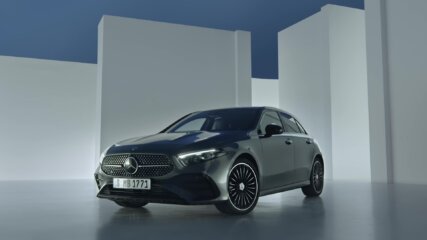 Anne Reiners | MAP Berlin