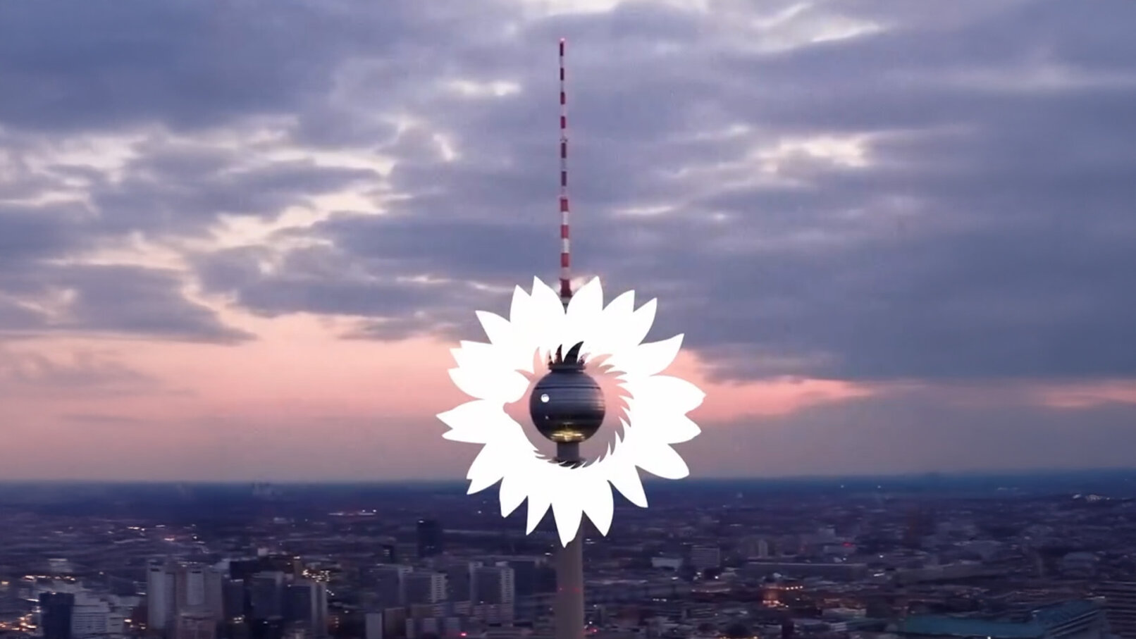 Sandra Winkelmann | MAP Berlin