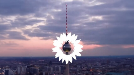 Sandra Winkelmann | MAP Berlin