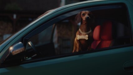 Marco Nostadt | MAP Berlin