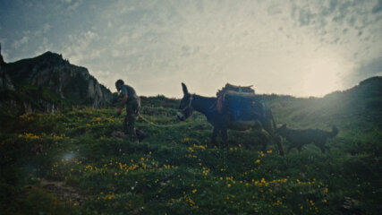 Sara Bonfilio | MAP Berlin Christoph Hanisch | MAP Berlin